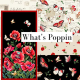 Whats Poppin by Michael Miller Fabrics